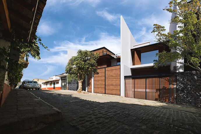 CASA ARBOL 4
