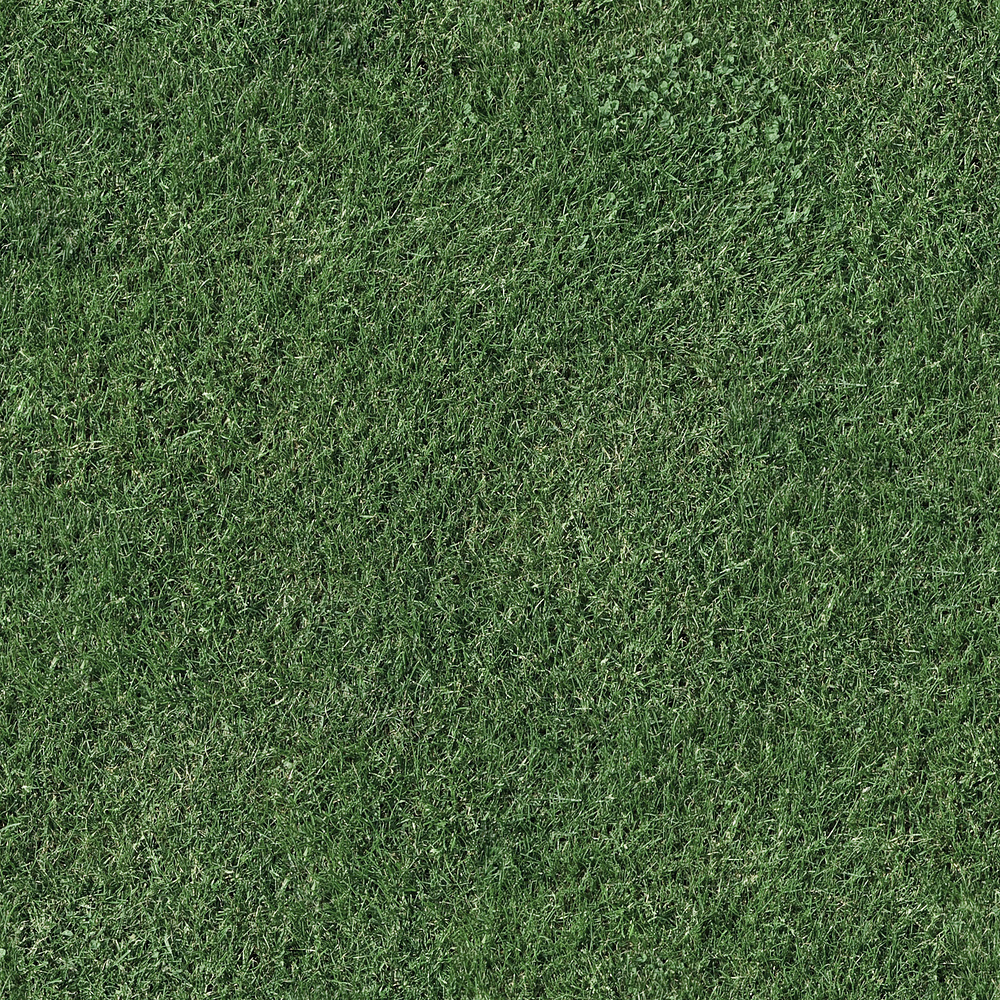 2D Grass for download - Assets Sharing - D5 RENDER FORUM