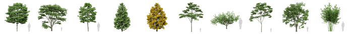 opti-trees2
