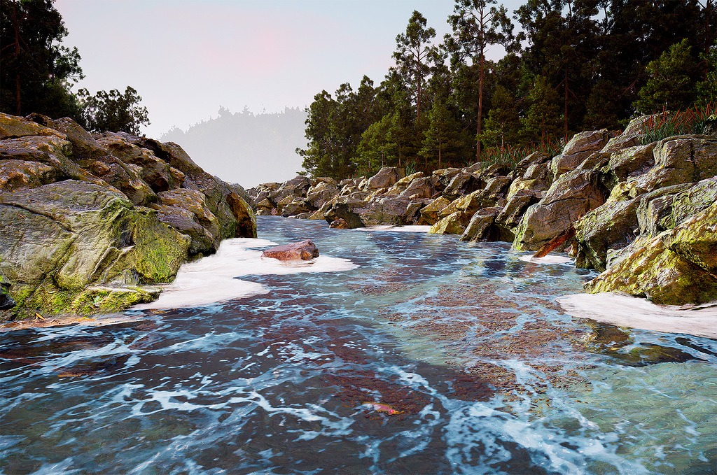 Landscape Gallery D5 Render Forum