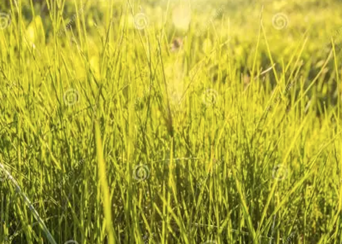 Zrzut ekranu 2026-04-23 231012