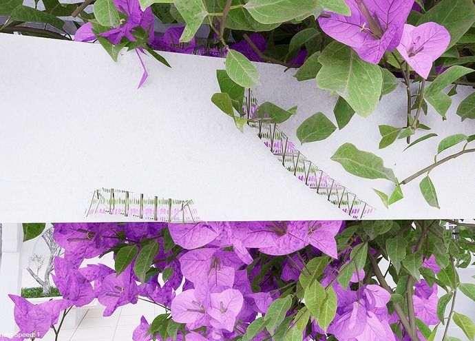 WhatsApp Image 2025-12-22 at 12.01.25 AM (1)