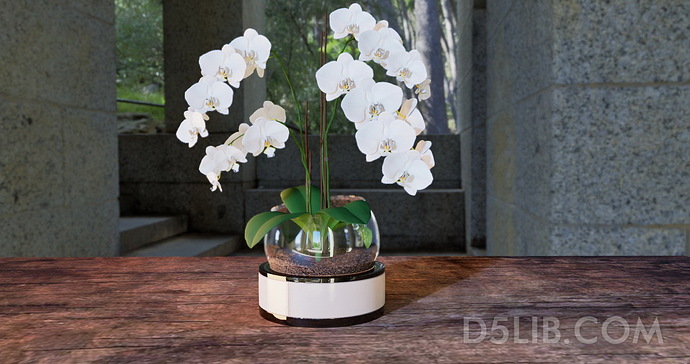 Free-Orchid-Model-Assets-for-D5-Render-Download-267