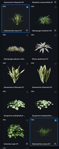 Grass_01