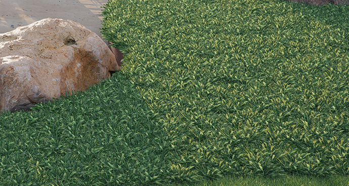 Screenshot 2025-09-03 090658