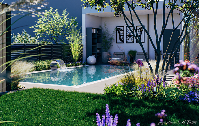 Pool D5 Render Forum