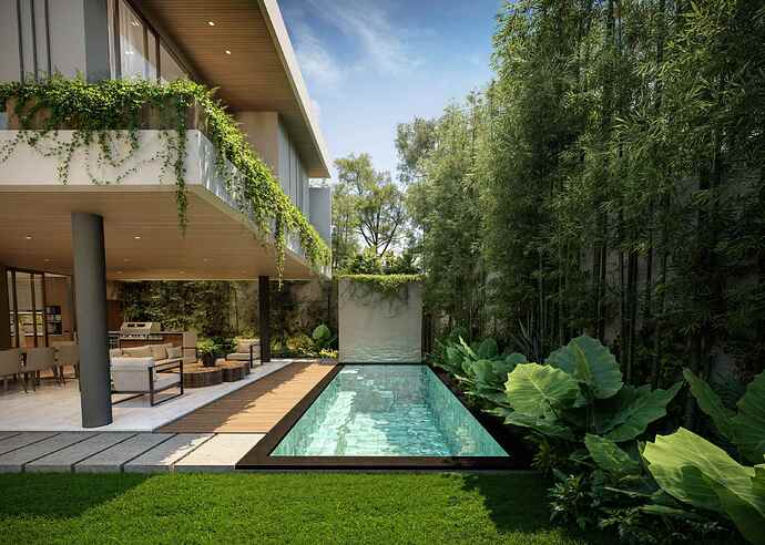 POOL VIEW 2