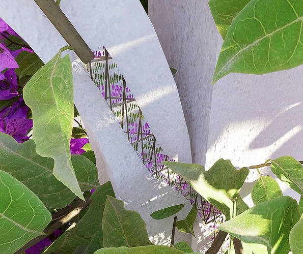 WhatsApp Image 2025-12-22 at 12.01.24 AM