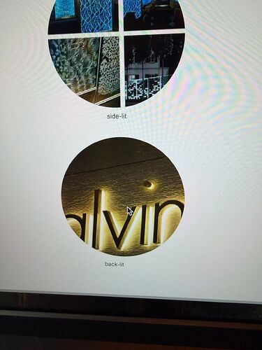 WhatsApp Image 2026-01-13 at 11.35.22