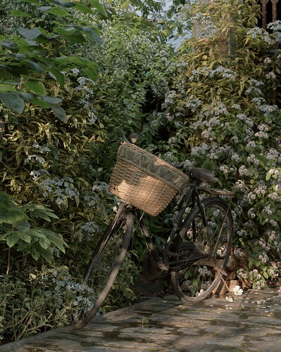 Scene 5 rower